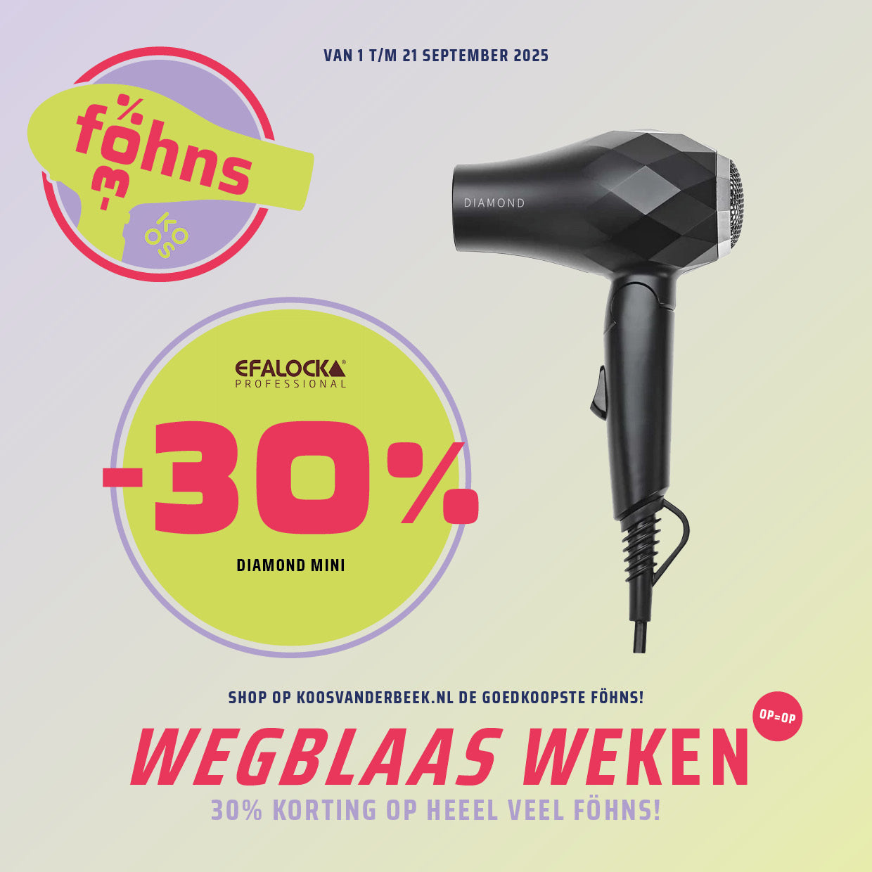 Efalock Diamond Mini Fohn Zwart