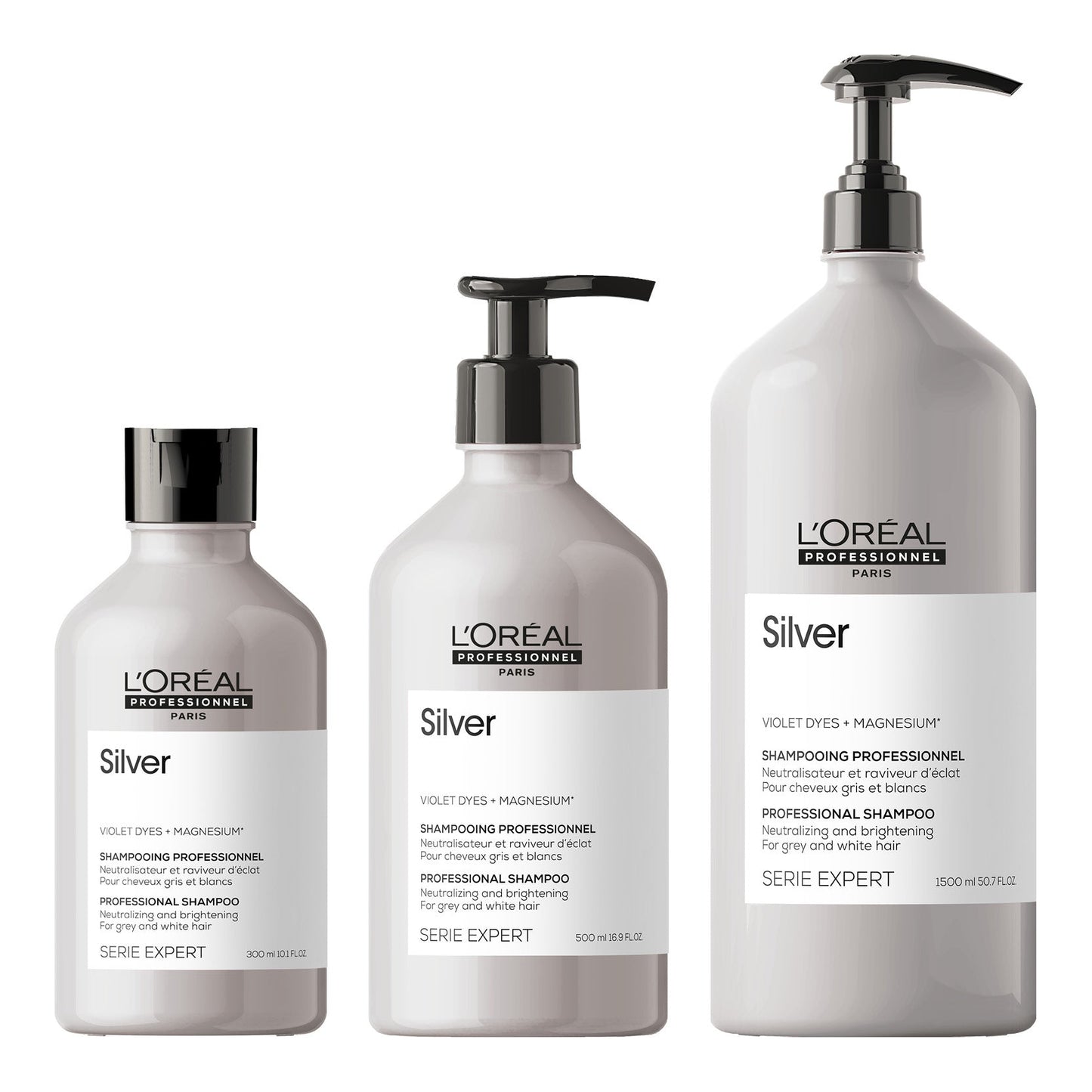 Loreal SE Silver Shampoo - Koosvanderbeek.nl - Loreal - Shampoo