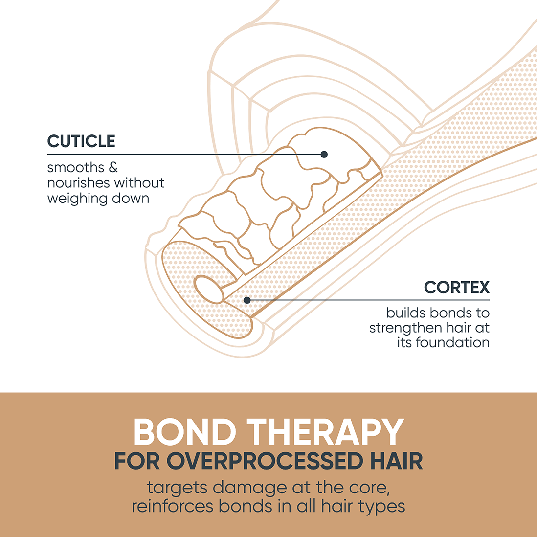 Matrix Biolage Bond Therapy Shampoo - Koosvanderbeek.nl - Matrix - Plex & Bond