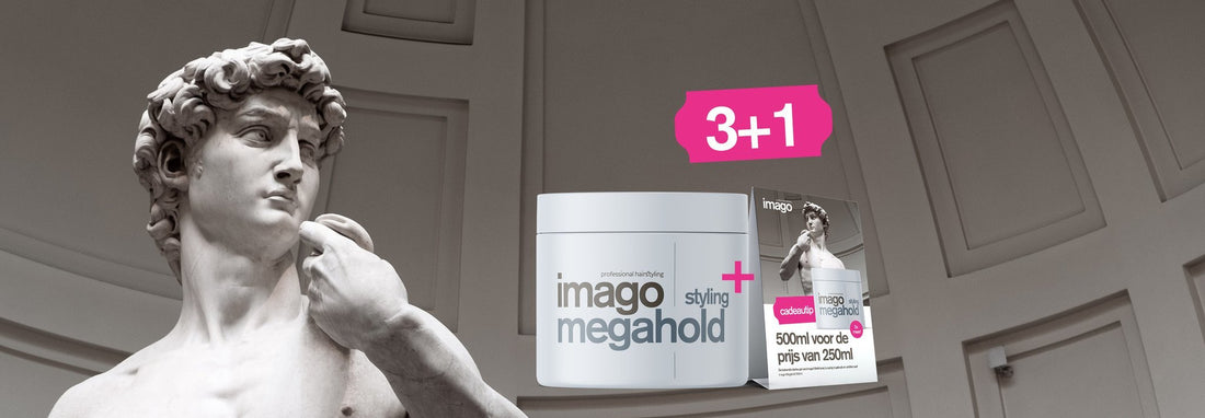 Product van de maand april: Imago Megahold 500ml - Koosvanderbeek.nl