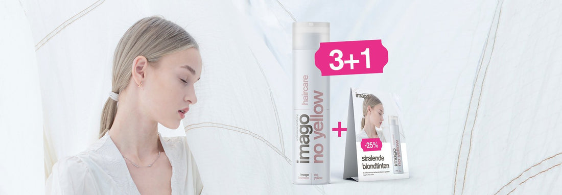 Product van de maand augustus 2022 - Koosvanderbeek.nl