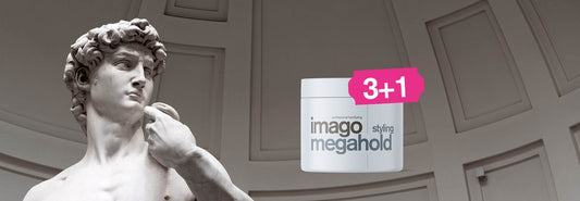 Product van de maand februari: Imago Megahold 500ml - Koosvanderbeek.nl