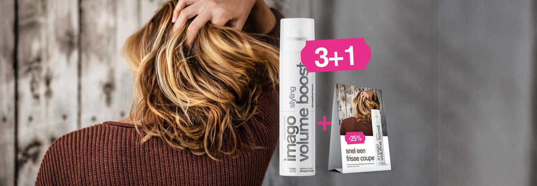 Product van de maand september 2022 - Koosvanderbeek.nl