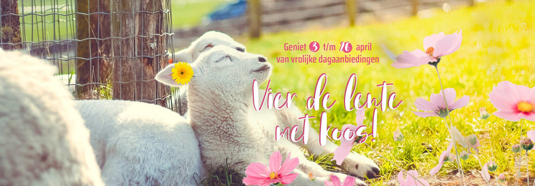 We vieren de lente bij Koos van der Beek! - Koosvanderbeek.nl