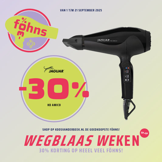 Jaguar Fohn HD Amico 1900-2100W
