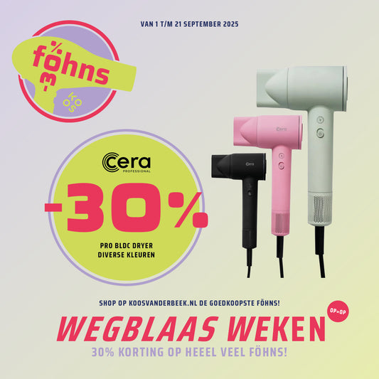 Cera Pro BLDC Dryer Fohn