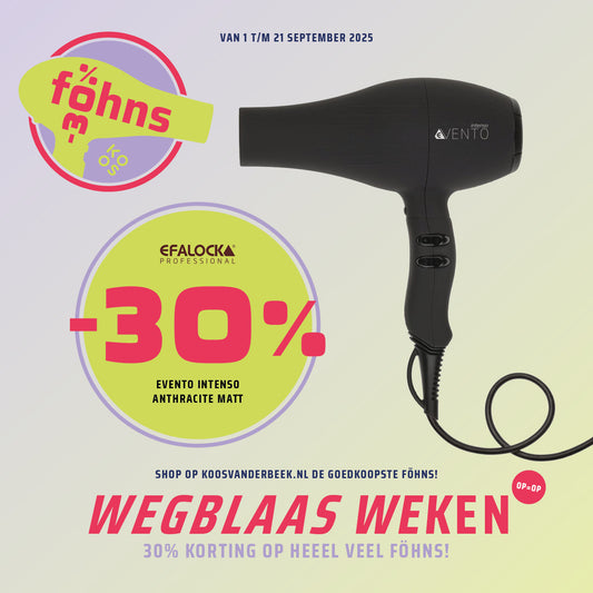 Efalock Fohn eVento Intenso Anthracite Matt