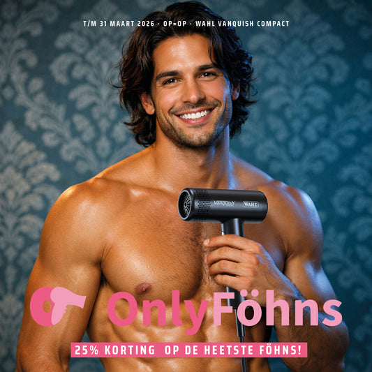 Wahl Vanquish Compact Dryer Black