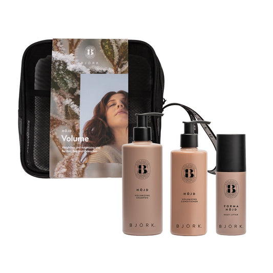 Bjork Giftset Volume