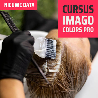 Cursus Imago Colors PRO 29 - 09 - 2025 - Koosvanderbeek.nl - koosvanderbeek - Kappersbenodigdheden