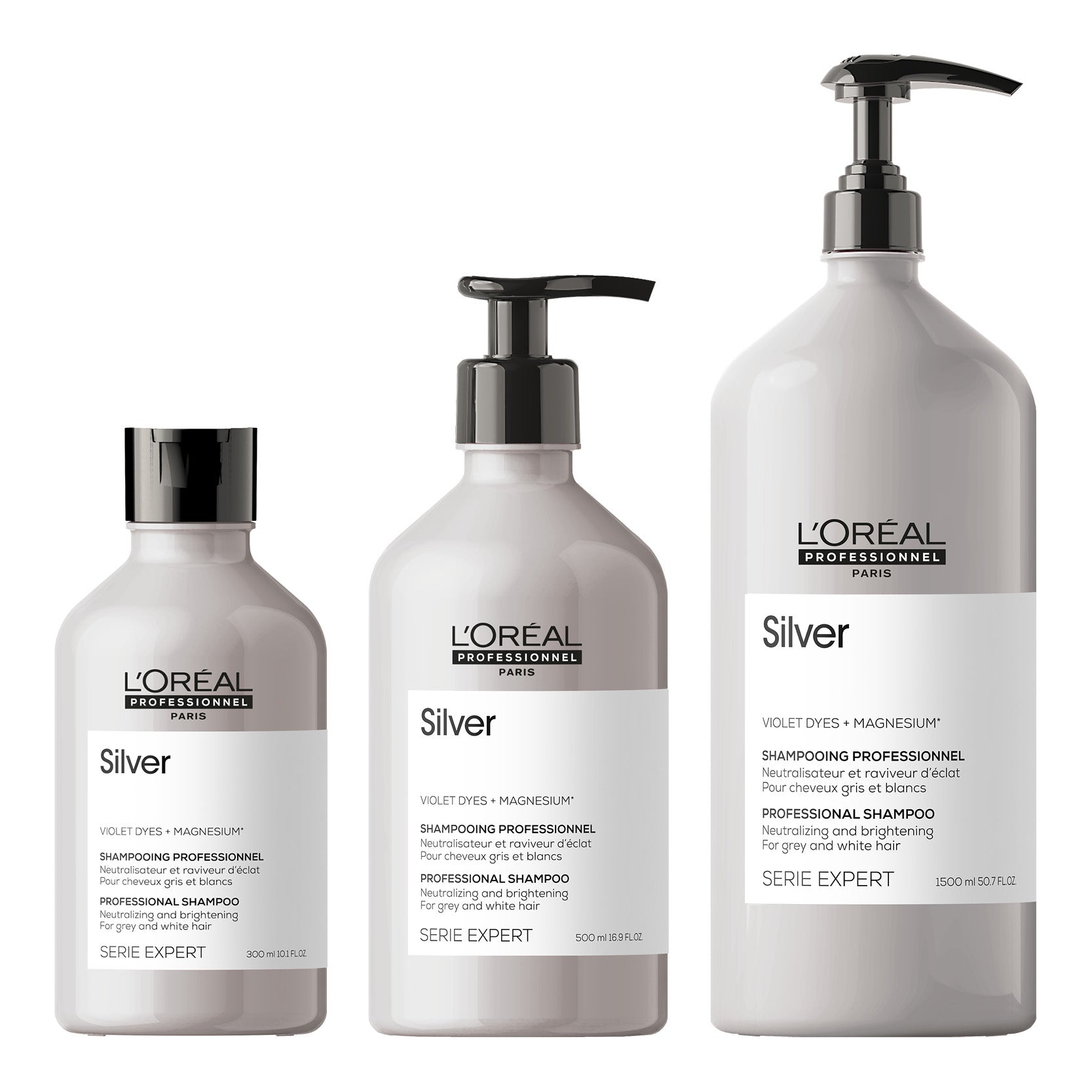 Loreal SE Silver Shampoo - Koosvanderbeek.nl - Loreal - Shampoo