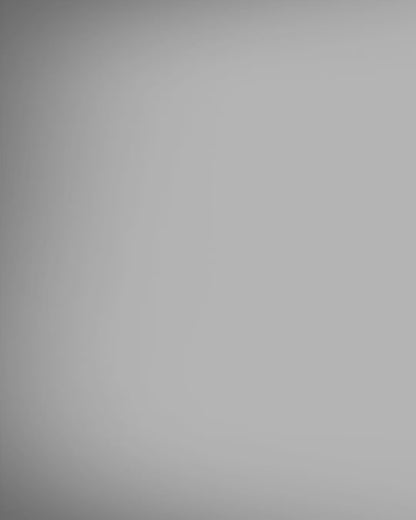 Ultron Borrum BLDC Fohn