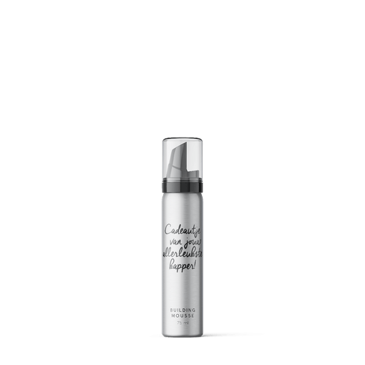 Pure Mini Building Mousse Cadeautje Van Kapper 75ml - Koosvanderbeek.nl - Pure - Mousse