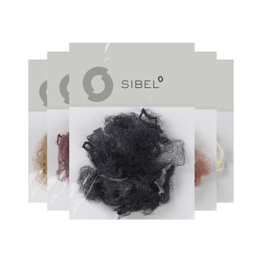 Sibel Day Net 2.